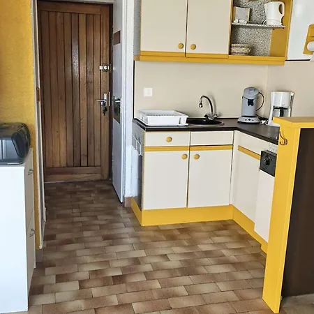 Cabine, Animaux Acceptés - Vue Montagne - Fr-1-195-125 Appartement